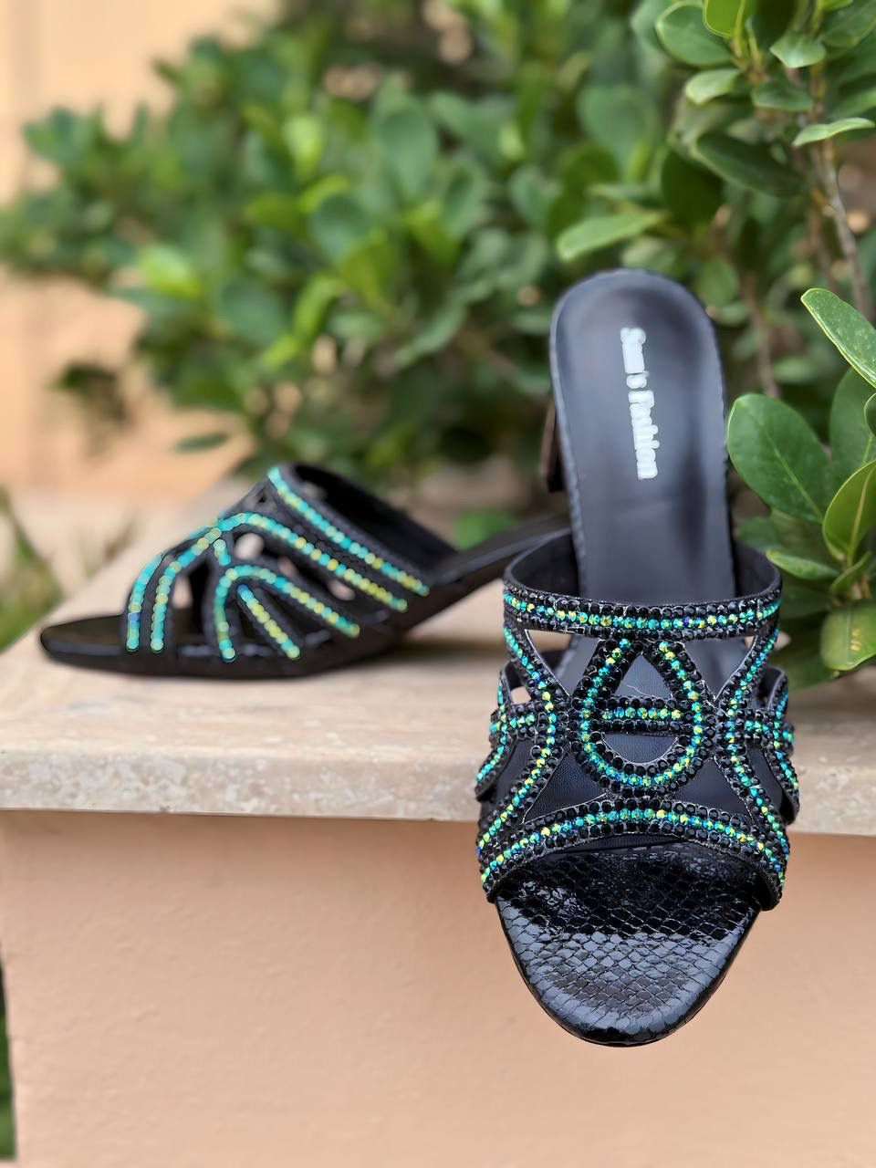 Haniyah Collection