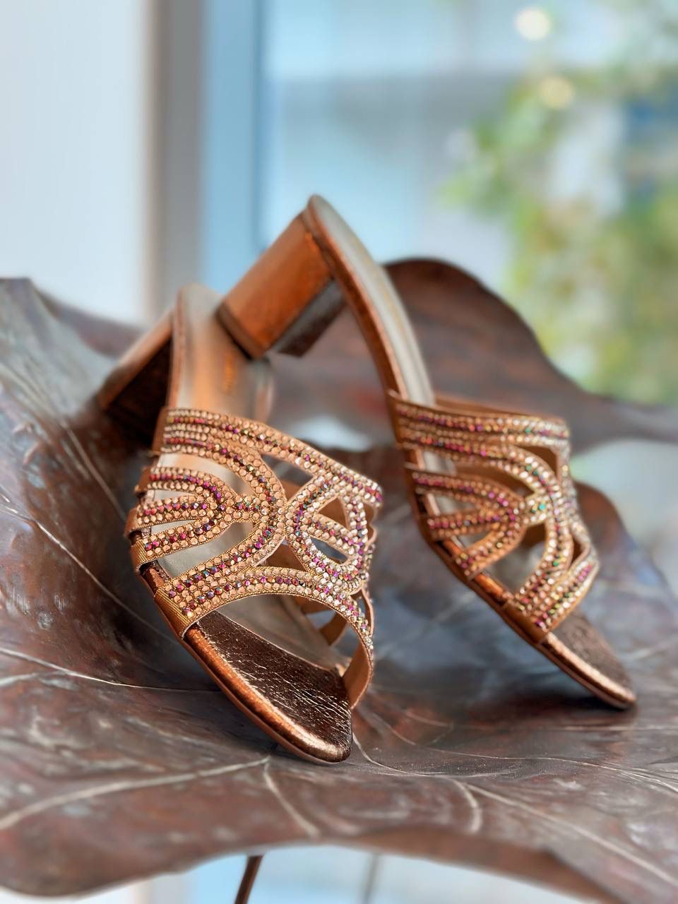 Haniyah Collection